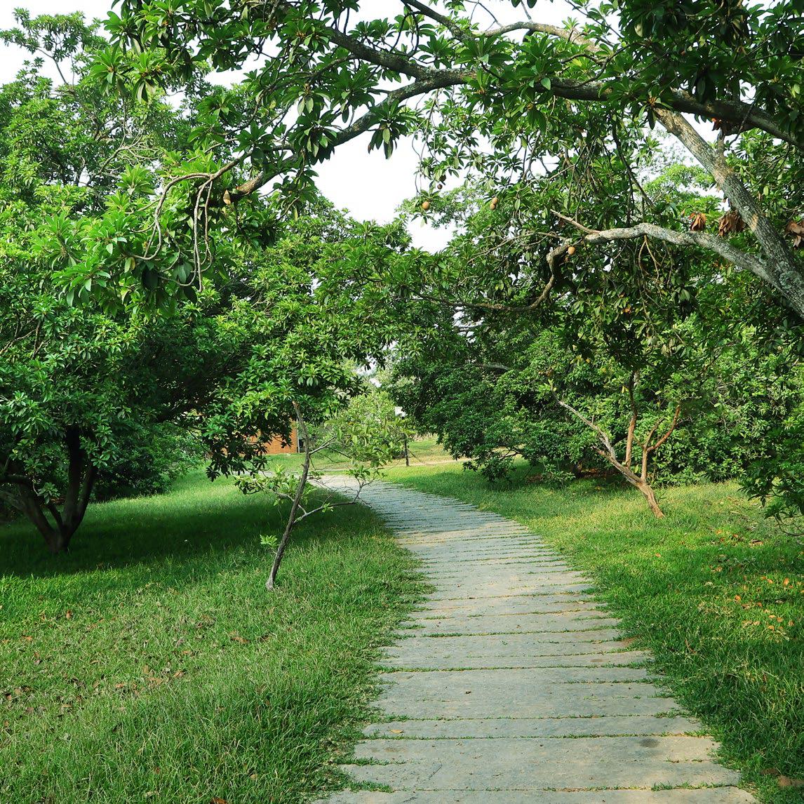 Nambiar District 25 Fit Station